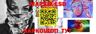 прущие грибы Сланцы