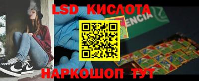 прущие грибы Сланцы