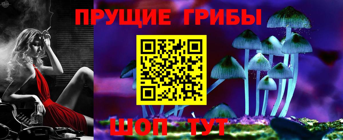 Галлюциногенные грибы прущие грибы Павловский Посад