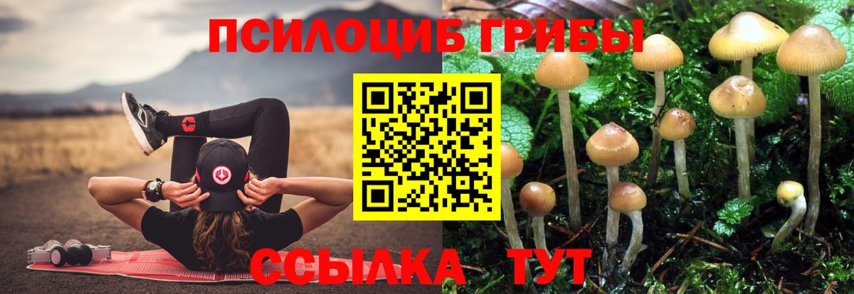 Павловский Посад  Галлюциногенные грибы GOLDEN TEACHER  Вход с VPN 